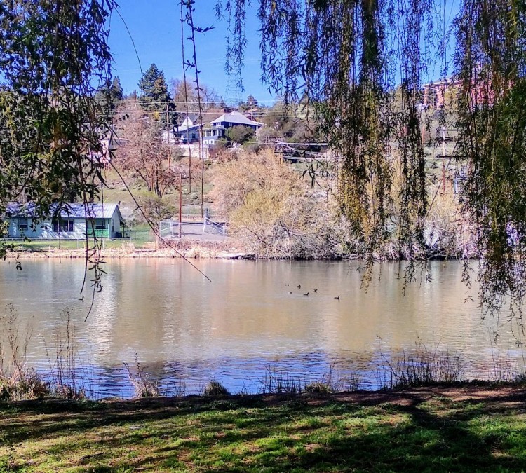 willow-park-photo